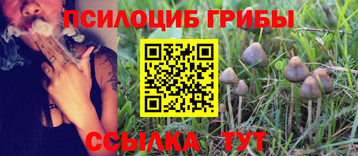 Псилоцибиновые грибы прущие грибы Пугачёв
